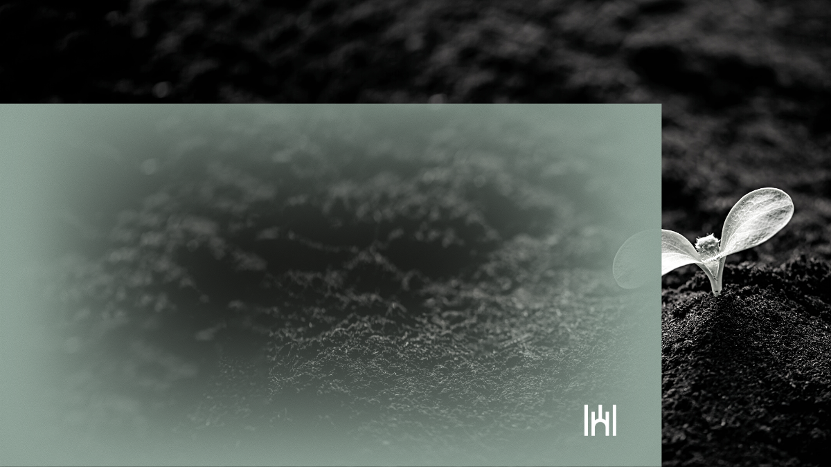 APF Holdings IPO Attracts 107 of Investment Target Bank